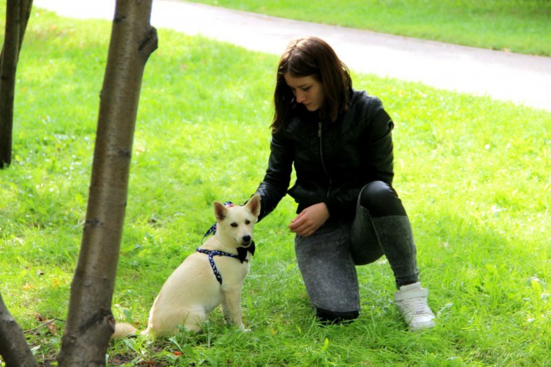 Девушка нашла на улице слепого одинокого щенка