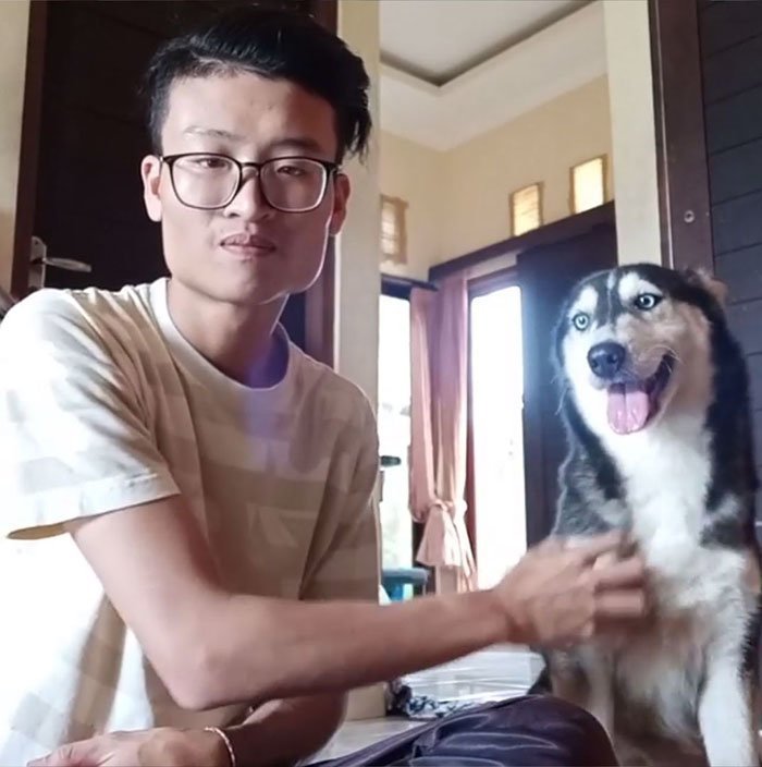 Мужчина поделился снимками невероятного преображения собаки