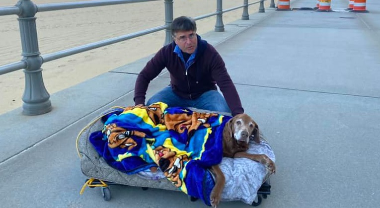 Владелец сделал передвижную кровать для своей больной собаки, чтобы она смогла насладиться закатом на пляже