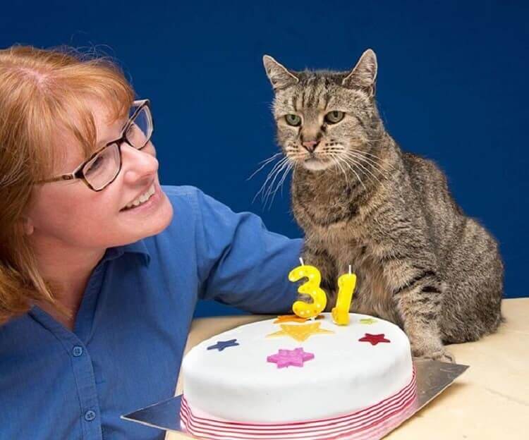 Самому самому коту в мире исполнился 31 год