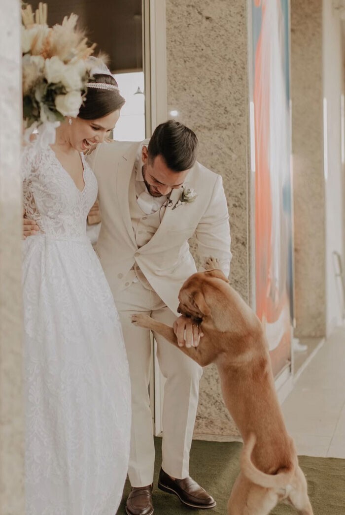 Бродячий пёс заглянул на свадьбу - и молодожёны решили, что это судьба