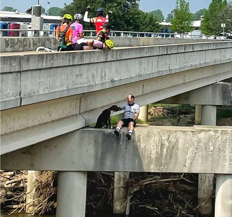 Велосипедисты спасли пса, который застрял на мосту