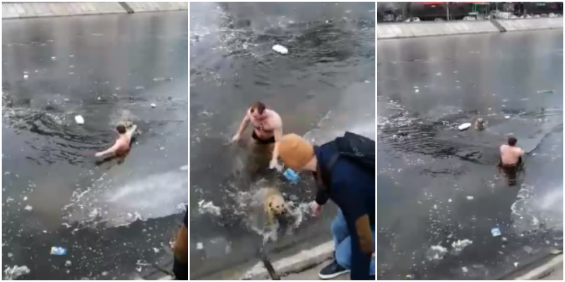 В воде ныряет в реку. Прыгнуть в воду спасать. Мужчина спас тонущую собаку.
