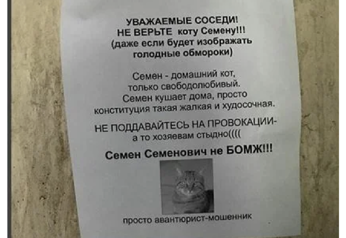 Это не мой сосед ответы бомжу. Кота не кормить. Объявление про кота семена. Смешные объявления в подъездах.